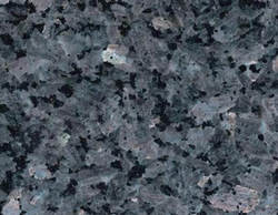 labrador silver pearl